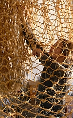 Portrait: Imke Rathert